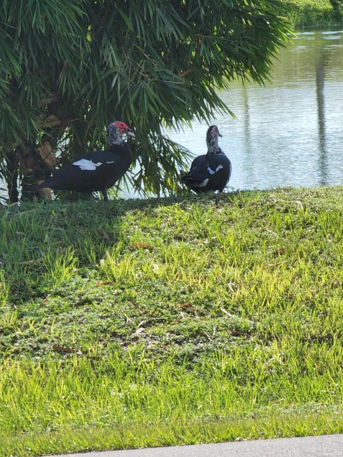Quails Nest Hotel Cape Coral Exterior foto
